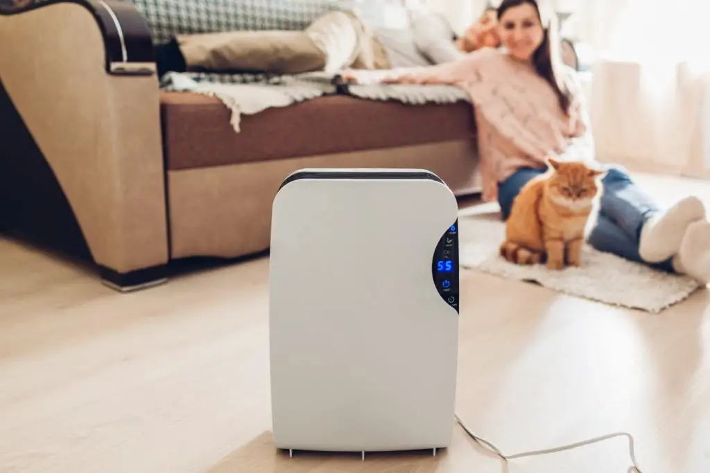 An air purifier in a home