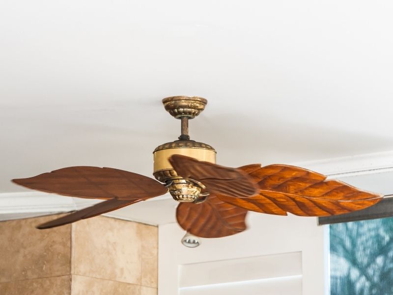 encased ceiling fan with light