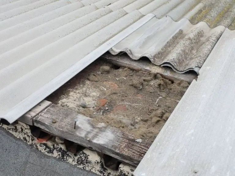 Wet Insulation Everything You Need to Know