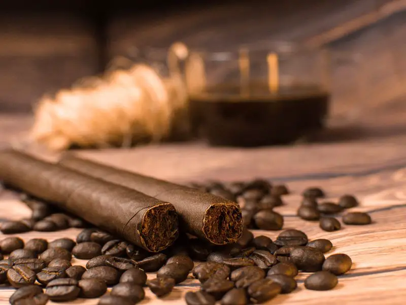 How To Ventilate A Cigar Room [3 Ways]