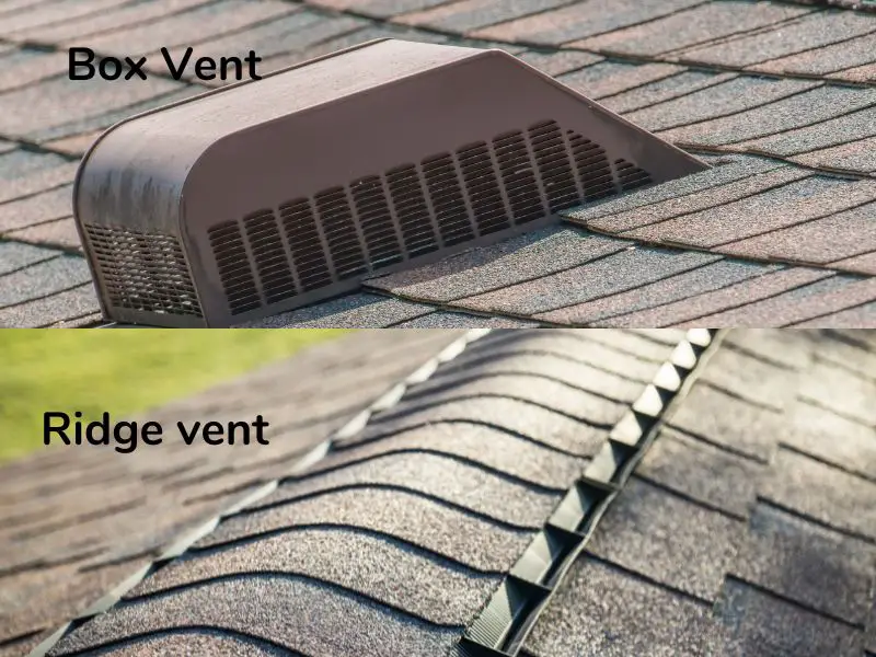 ridge vent vs box vent